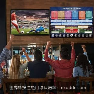 卫冕冠军与传统豪强：2026世界杯三大热门球队战力与赔率对比